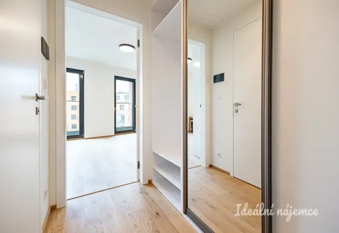 Pronájem bytu 1+kk, Praha - Žižkov, Basilejské náměstí, 42 m2