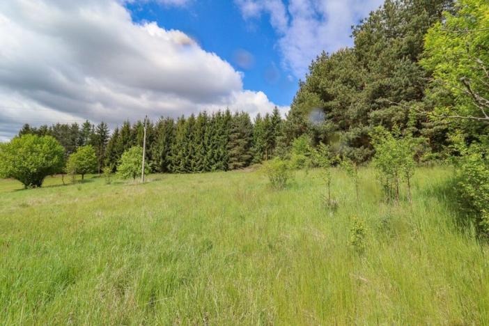 Prodej pozemku pro bydlení, Kolinec, 1678 m2