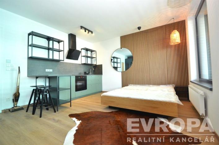 Pronájem bytu 1+kk, Praha - Žižkov, Olgy Havlové, 41 m2