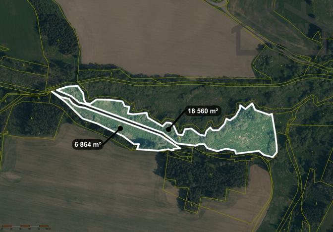 Prodej pole, Tisová - Kumpolec, 220644 m2