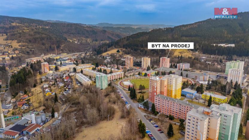 Prodej bytu 1+kk, Tanvald, U Školky, 27 m2