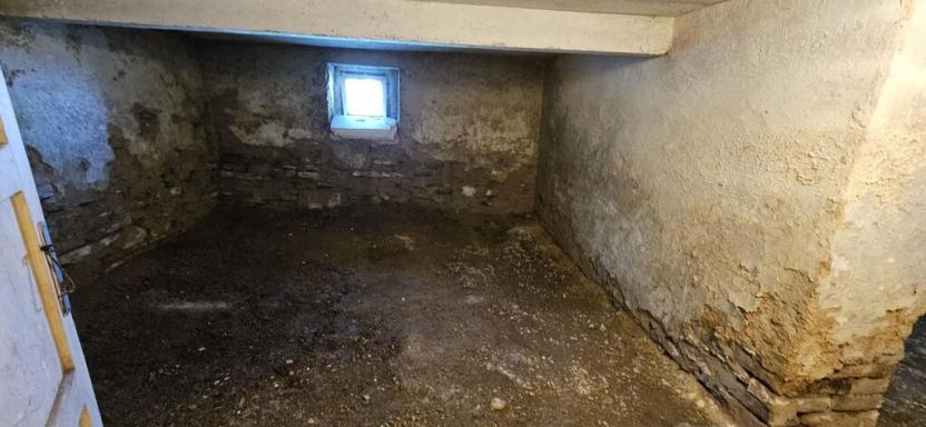 Prodej rodinného domu, Javorník - Zálesí, Zálesí, 615 m2