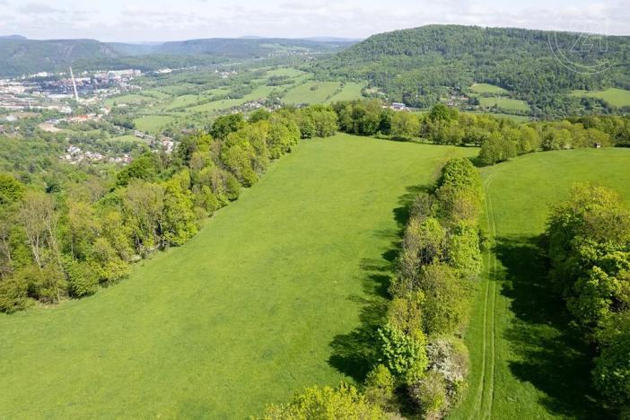 Prodej louky, Děčín, 19126 m2