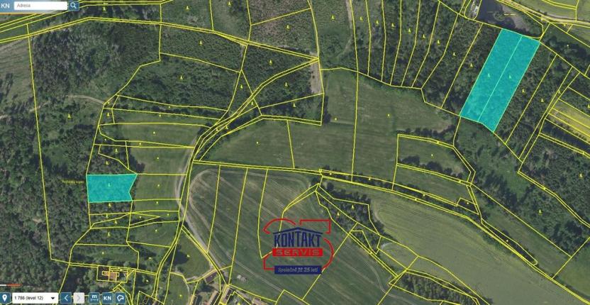 Prodej lesa, Tehov, 10542 m2
