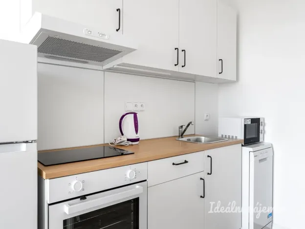 Pronájem bytu 1+kk, Praha - Kyje, Za černým mostem, 25 m2