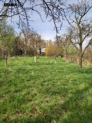 Prodej zahrady, Holešov, 2623 m2