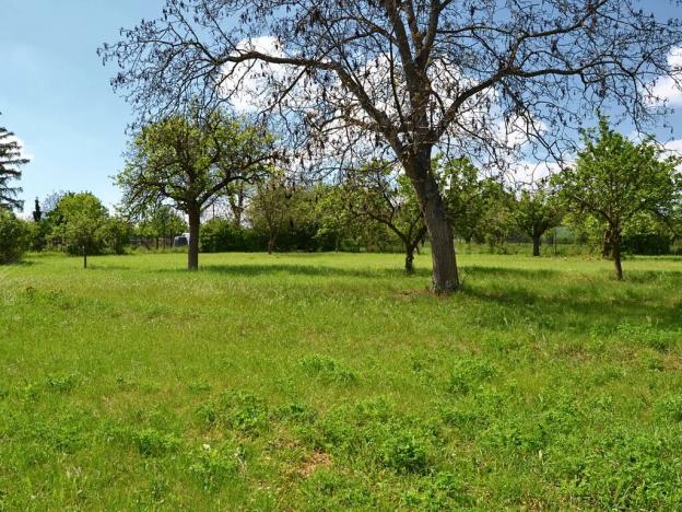 Prodej pozemku pro bydlení, Třebenice, 5844 m2