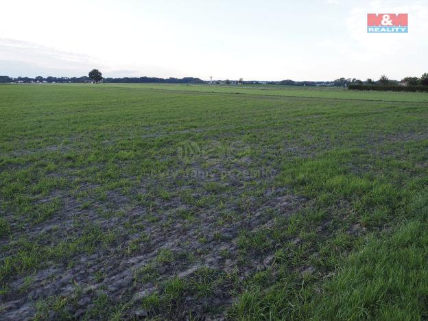 Prodej pozemku pro bydlení, Staré Jesenčany, 3364 m2