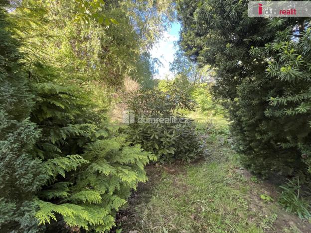 Prodej zahrady, Chlumec - Žandov, 383 m2