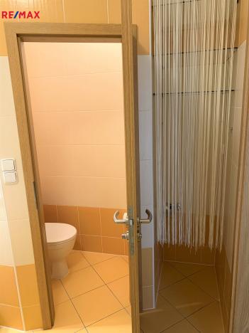 Prodej bytu 1+kk, Olomouc - Povel, Peškova, 45 m2