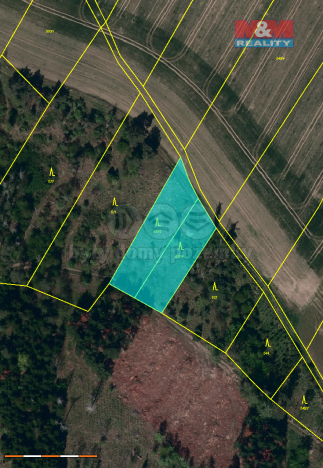Prodej lesa, Střítež, 4100 m2