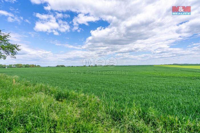 Prodej pozemku pro bydlení, Cerhenice, 48463 m2
