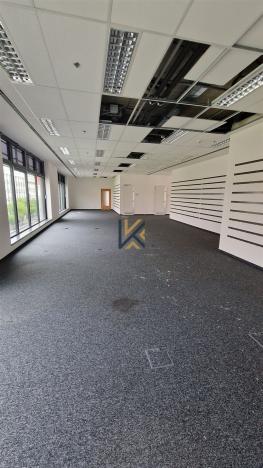 Pronájem kanceláře, Praha - Holešovice, U průhonu, 205 m2