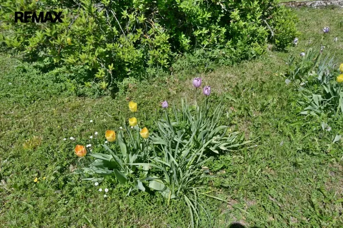 Prodej rodinného domu, Židovice, 86 m2