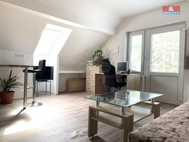 Pronájem bytu 1+kk, Bratrušov, 24 m2