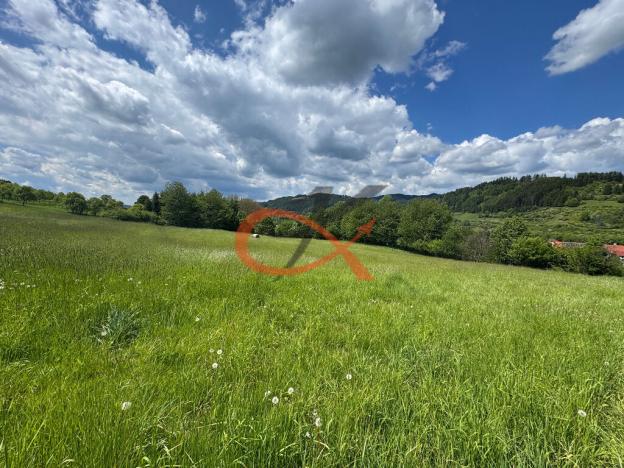 Prodej louky, Nový Hrozenkov, 25140 m2