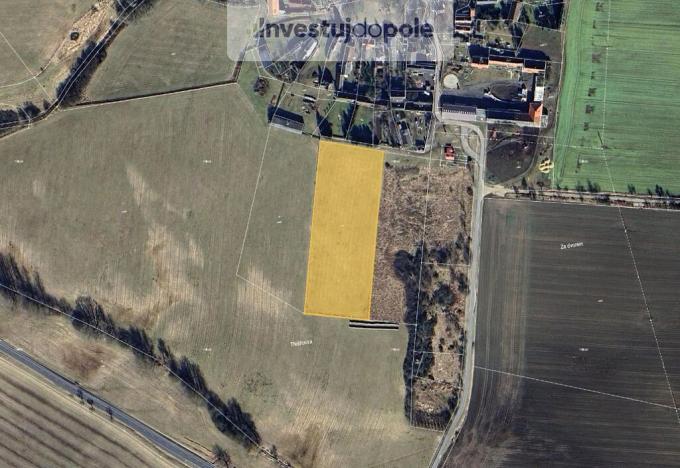 Prodej pole, Planá - Týnec, 757 m2