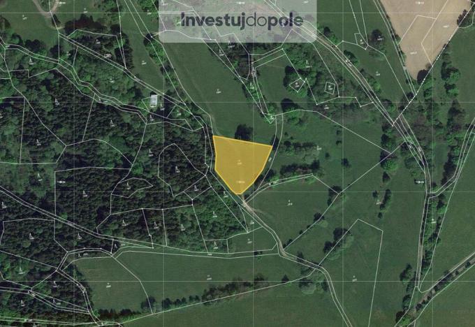 Prodej louky, Horní Branná - Valteřice, 2558 m2