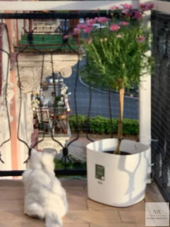 Prodej bytu 3+kk, Karlovy Vary, nábřeží Jana Palacha, 65 m2