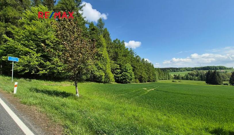 Prodej pozemku pro bydlení, Borová, 7429 m2