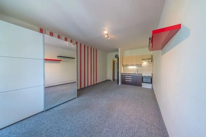 Prodej bytu 1+kk, Orlová, 30 m2