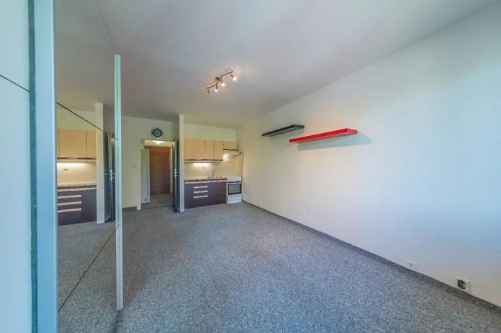 Prodej bytu 1+kk, Orlová, 30 m2