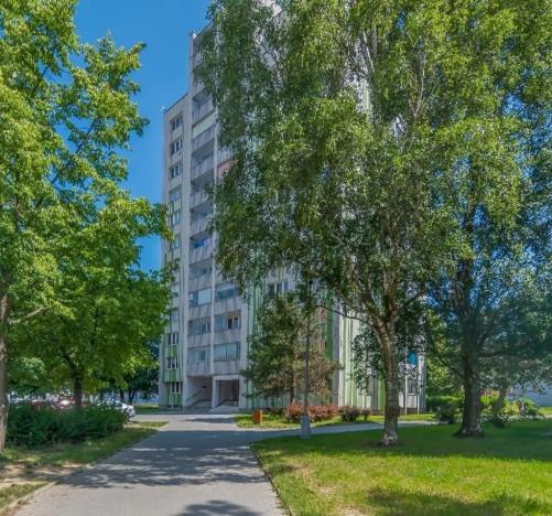 Prodej bytu 1+kk, Orlová, 30 m2