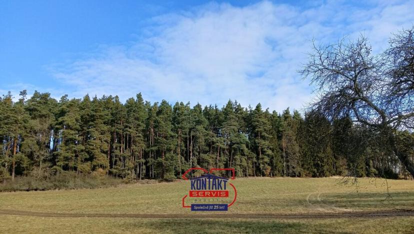 Prodej lesa, Horažďovice - Veřechov, 27324 m2