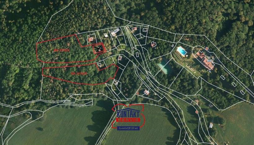 Prodej lesa, Radíč, 12432 m2