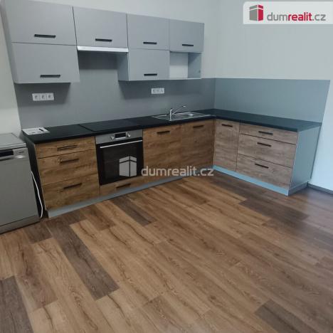 Pronájem bytu 2+kk, Ústí nad Labem - Ústí nad Labem-centrum, Elišky Krásnohorské, 65 m2