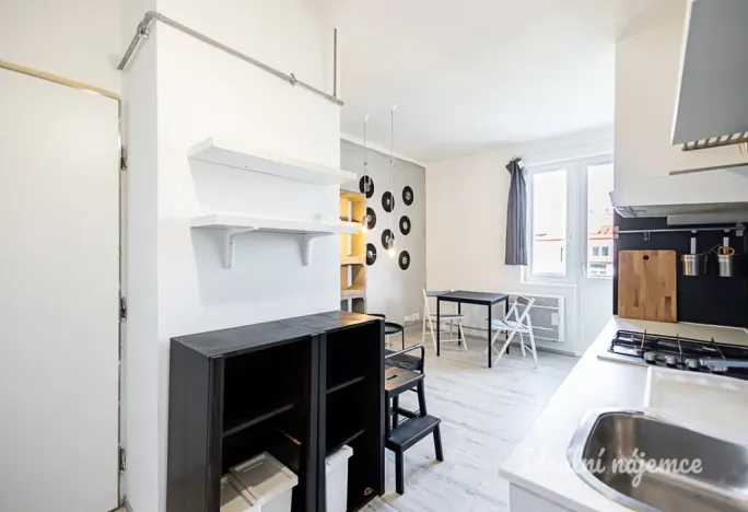 Pronájem bytu 1+kk, Praha - Žižkov, Biskupcova, 22 m2
