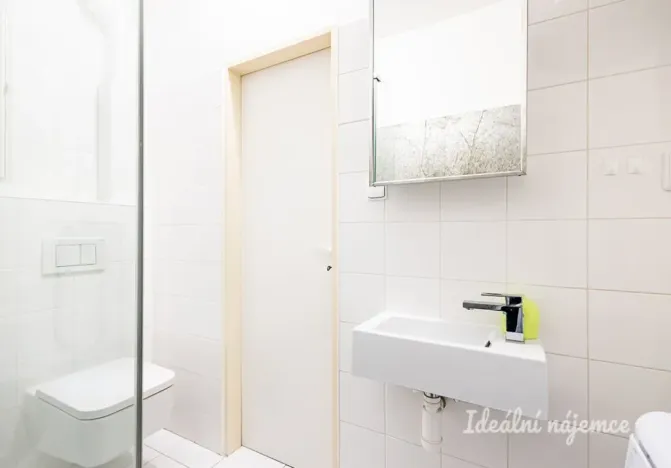 Pronájem bytu 1+kk, Praha - Žižkov, Biskupcova, 22 m2