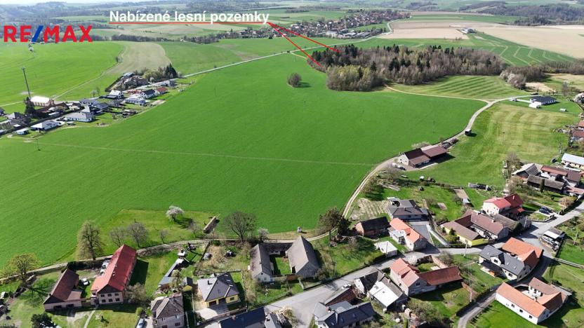 Prodej lesa, Spálov, 25088 m2