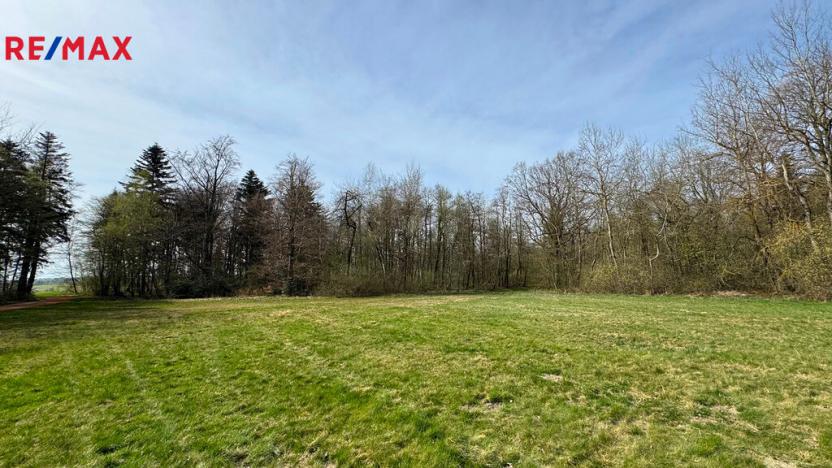 Prodej lesa, Spálov, 25088 m2