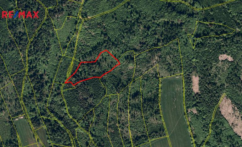 Prodej lesa, Spálov, 25088 m2