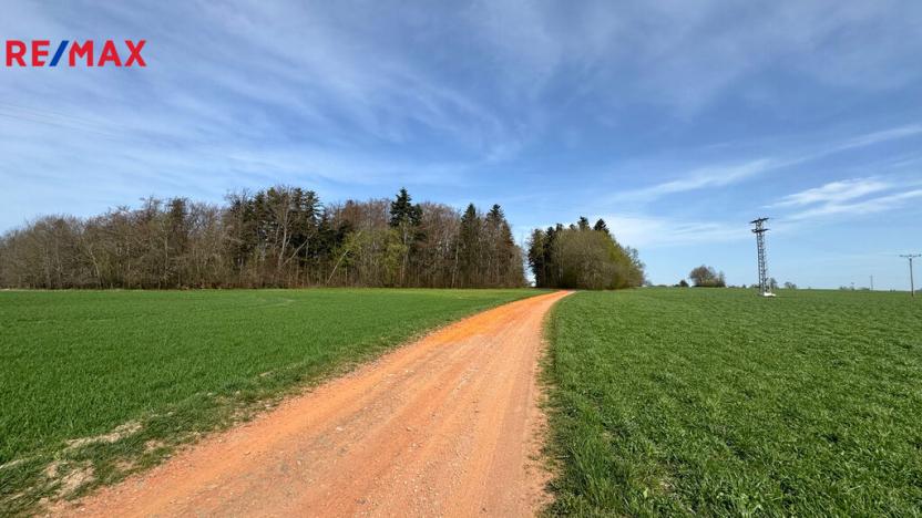 Prodej lesa, Spálov, 25088 m2