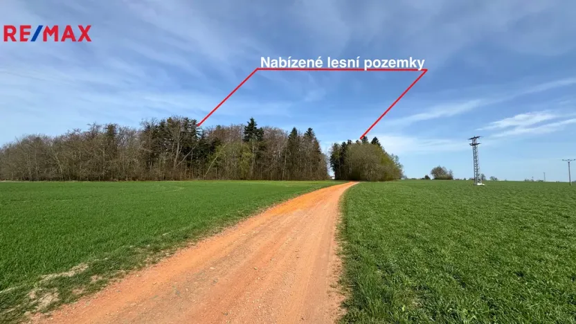 Prodej lesa, Spálov, 25088 m2