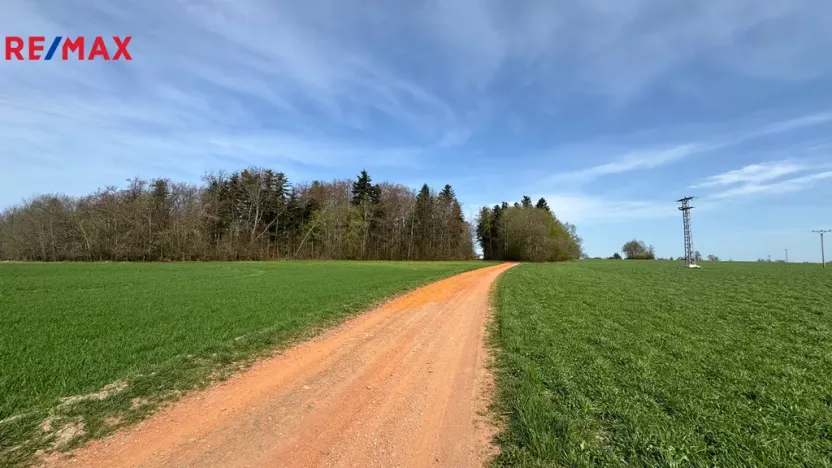 Prodej lesa, Spálov, 25088 m2