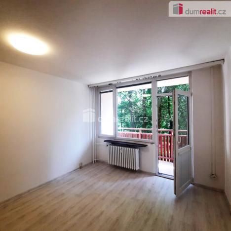 Pronájem bytu 1+kk, Liberec - Liberec I-Staré Město, Ruská, 29 m2