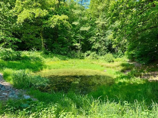 Prodej pozemku pro bydlení, Čerčany, Pod Rybníčkem, 1104 m2