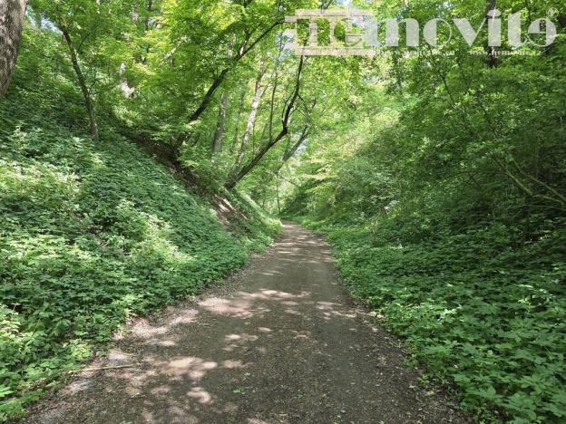 Prodej chaty, Benátky nad Jizerou, 24 m2