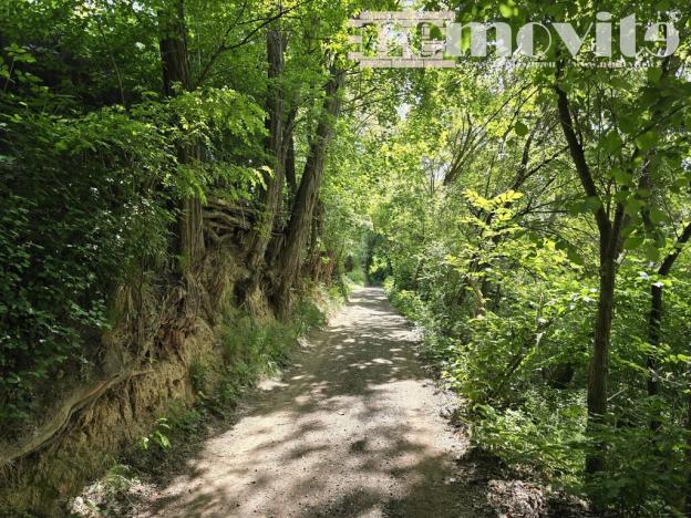 Prodej chaty, Benátky nad Jizerou, 24 m2