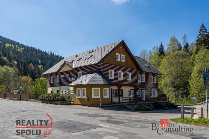 Prodej ubytování, Malá Úpa - Dolní Malá Úpa, 526 m2