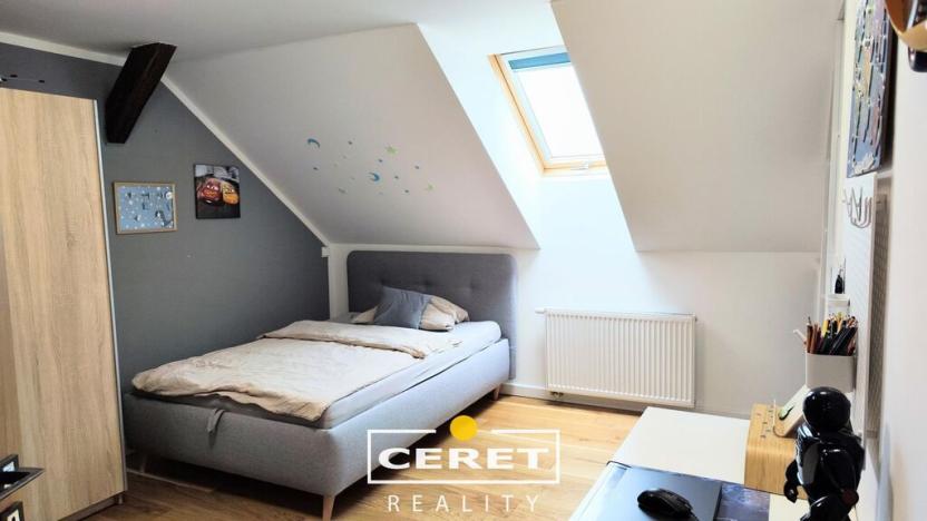 Prodej vícegeneračního domu, Žatec, Chomutovská, 300 m2