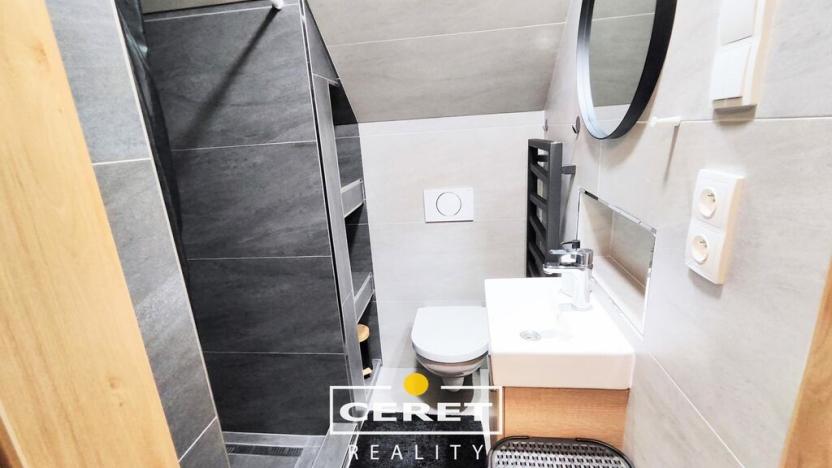 Prodej vícegeneračního domu, Žatec, Chomutovská, 300 m2