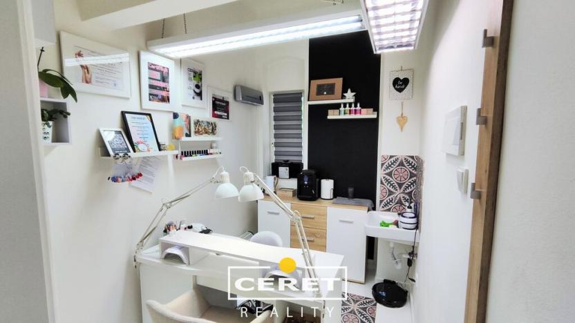 Prodej vícegeneračního domu, Žatec, Chomutovská, 300 m2