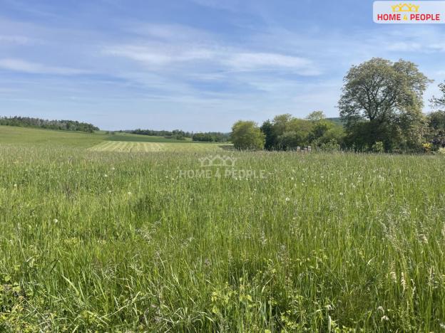 Prodej louky, Nalžovice - Nalžovické Podhájí, 3932 m2