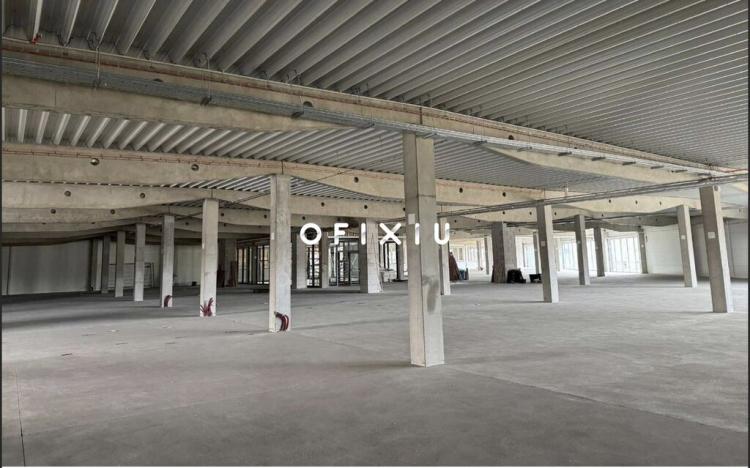 Pronájem obchodního prostoru, Brno, Kaštanová, 589 m2