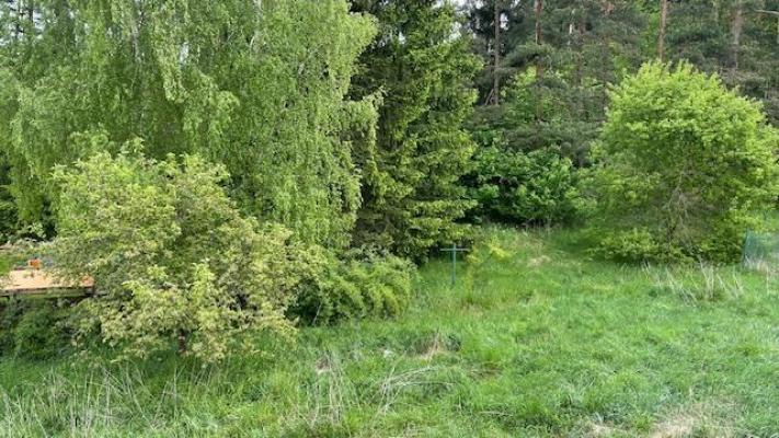 Prodej rodinného domu, Ostrov u Macochy