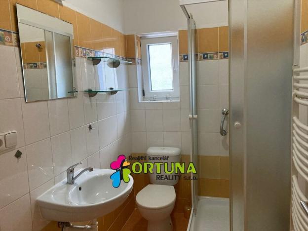 Pronájem bytu 1+kk, České Budějovice, Krokova, 27 m2